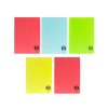Caiet A5 48 File coperta plastic Atinge Excelenta