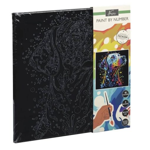 Set pictura pe numere 30x30 cm panza neagra Caine