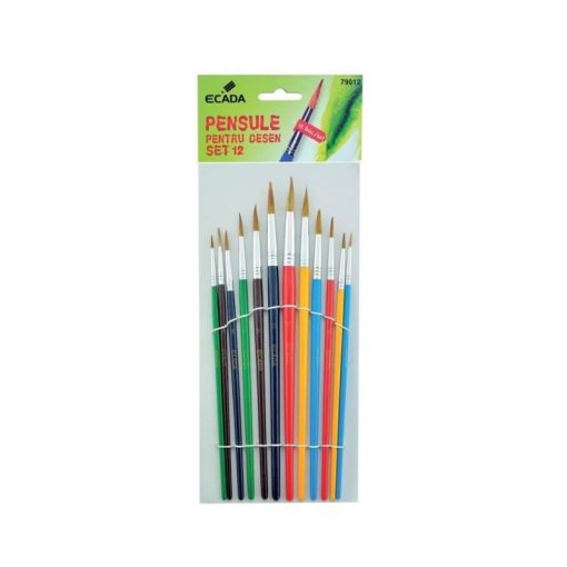 Set 12 pensule Ecada marimi diferite